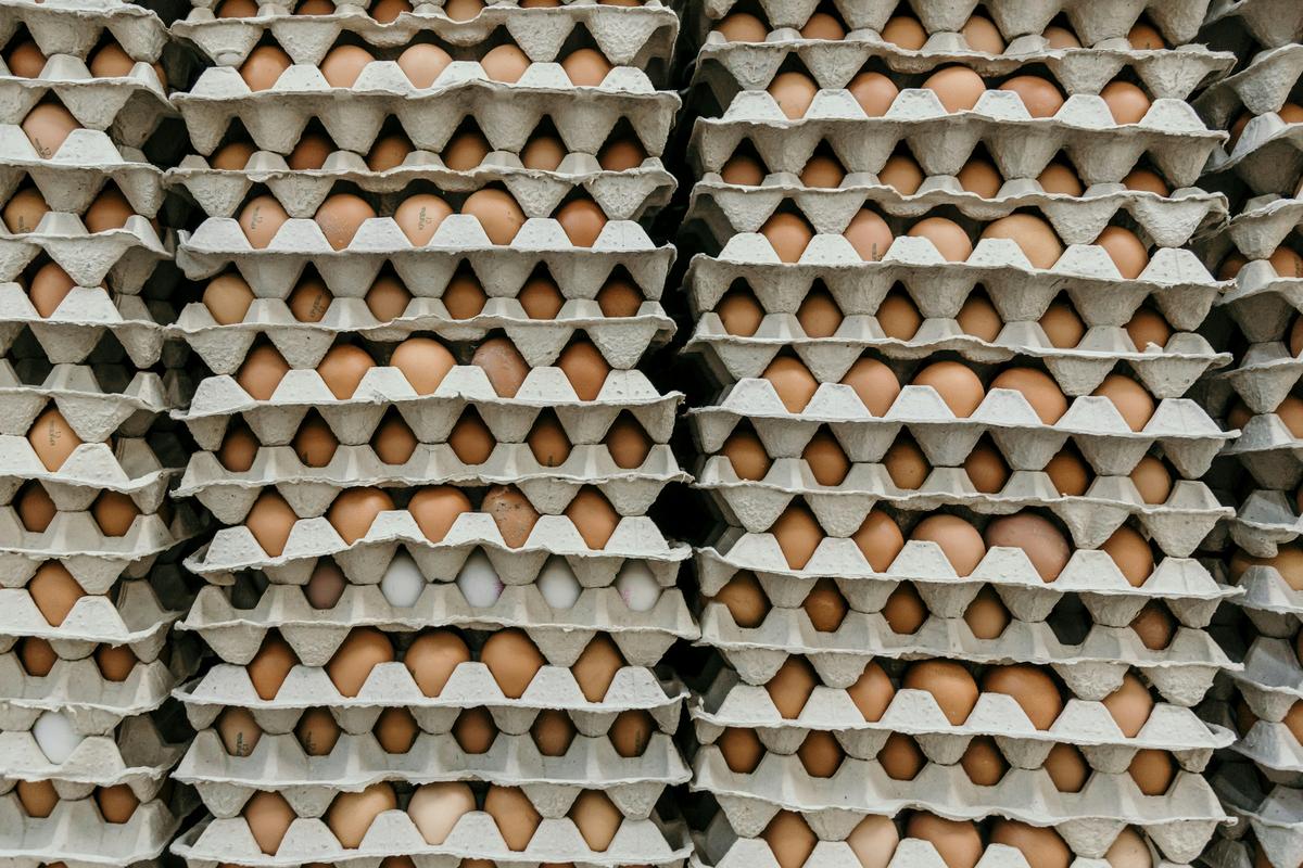 Missouri Alert: 6 Million Eggs Recalled for Salmonella