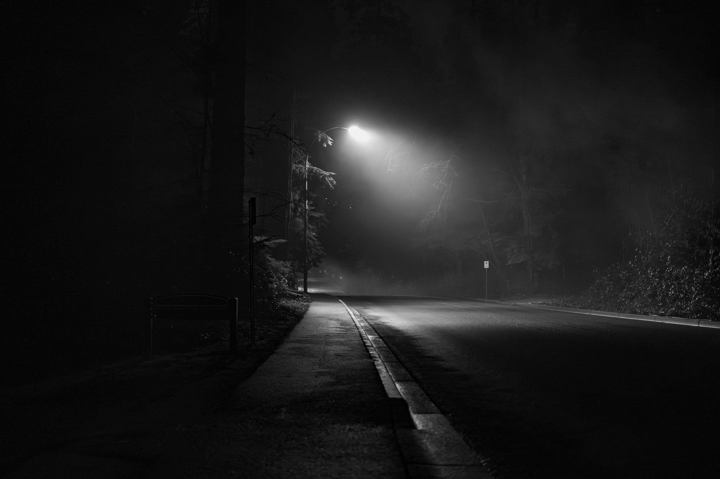 5 Haunted Illinois Roads Drivers Avoid After Dark