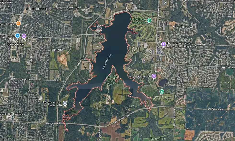 Google Maps Satellite View