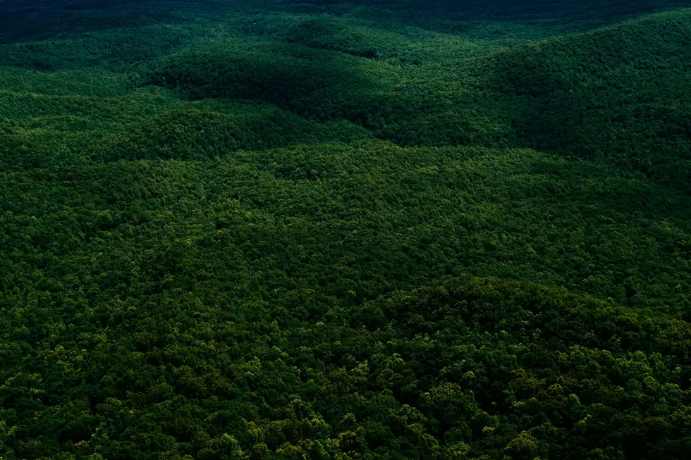 The Best Places to Survive Off the Grid in Illinois