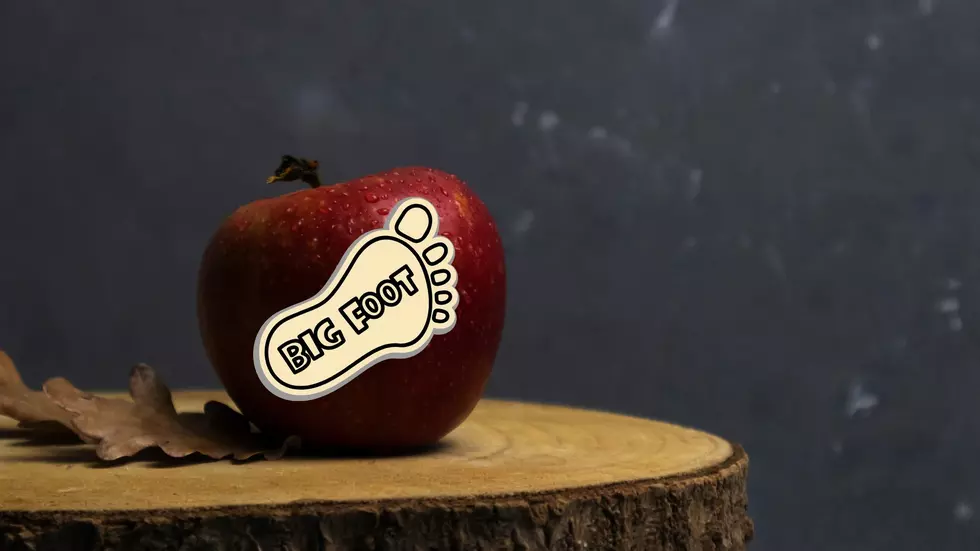 Video Claims Missouri Bigfoot Keeps Stealing Apples