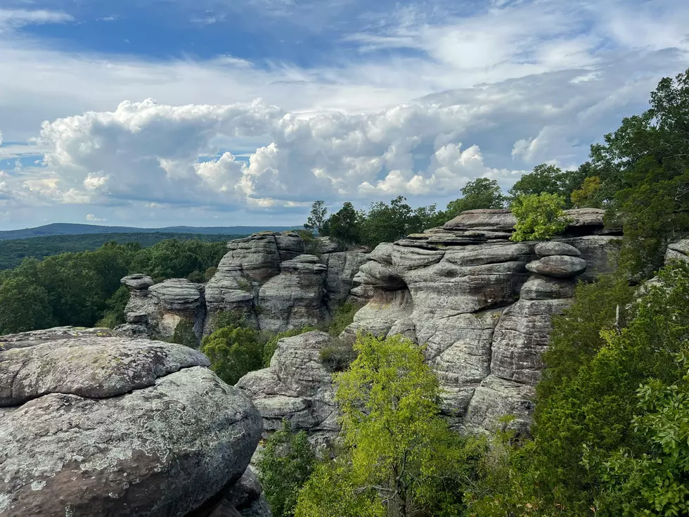 Brian Hubbard via Unsplash