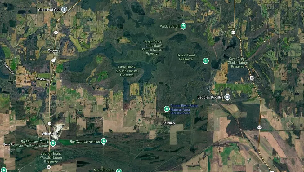 Google Maps Satellite View