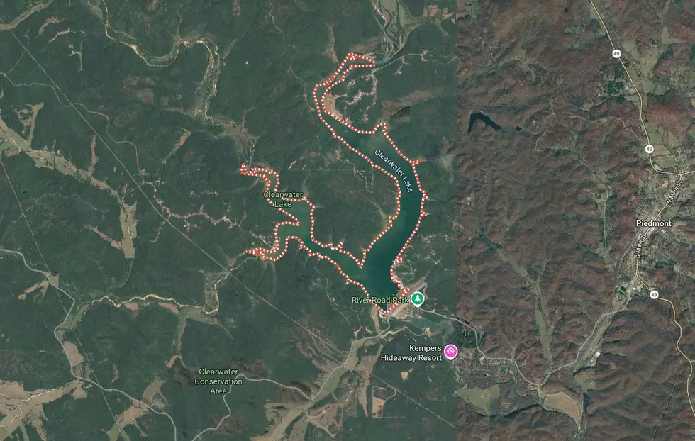 Google Maps Satellite View