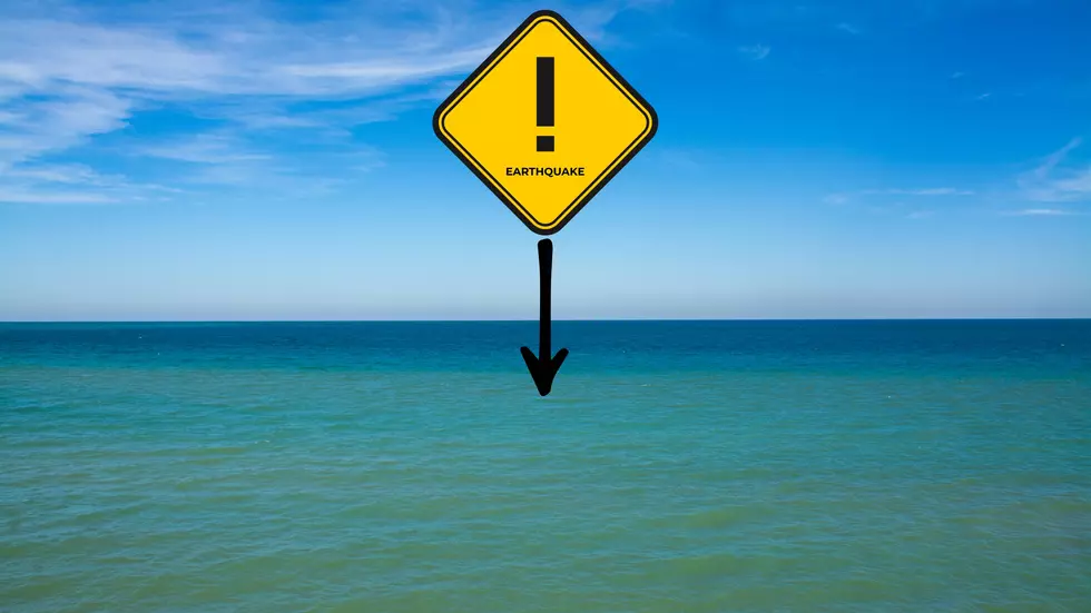 Illinois Shaken by Earthquake Centered in Lake Michigan