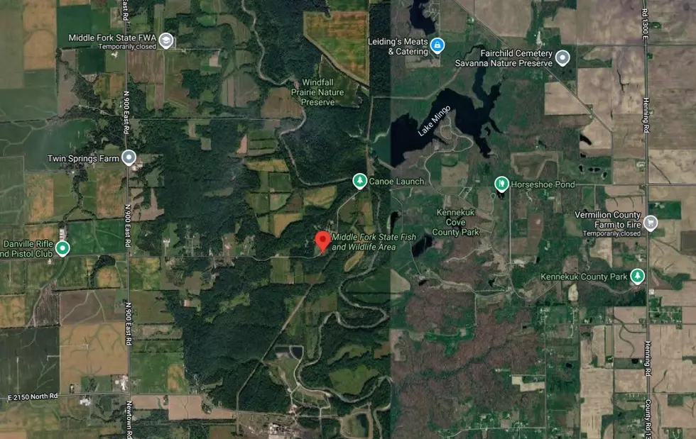 Google Maps Satellite View