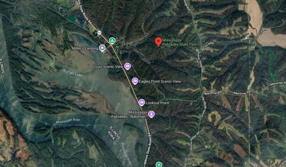 Google Maps Satellite View