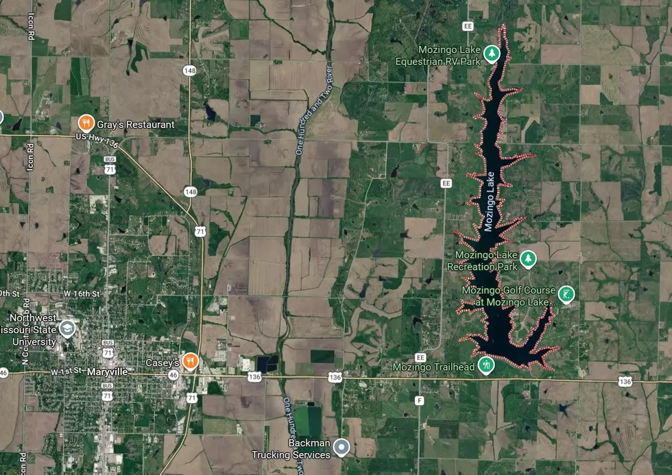 Google Maps Satellite View