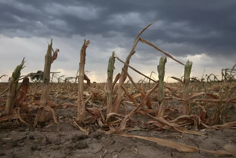 University of Missouri Professor Warns of Dry Soil For Crops