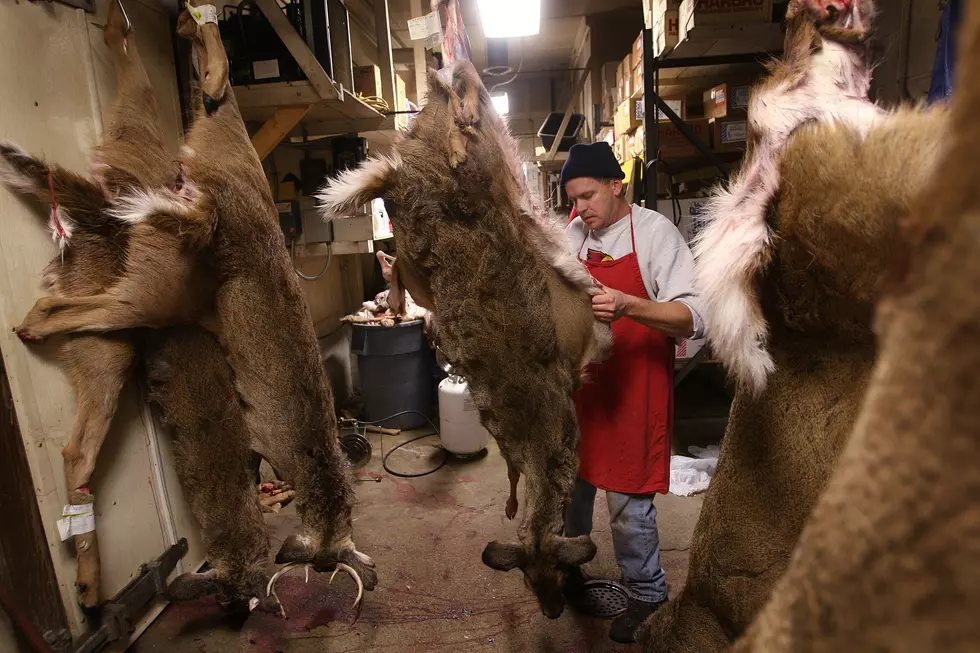 15,000 Deer Killed in Missouri