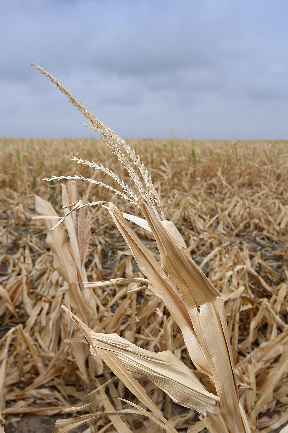 2012 Precipitation Totals Fall Short in Hannibal