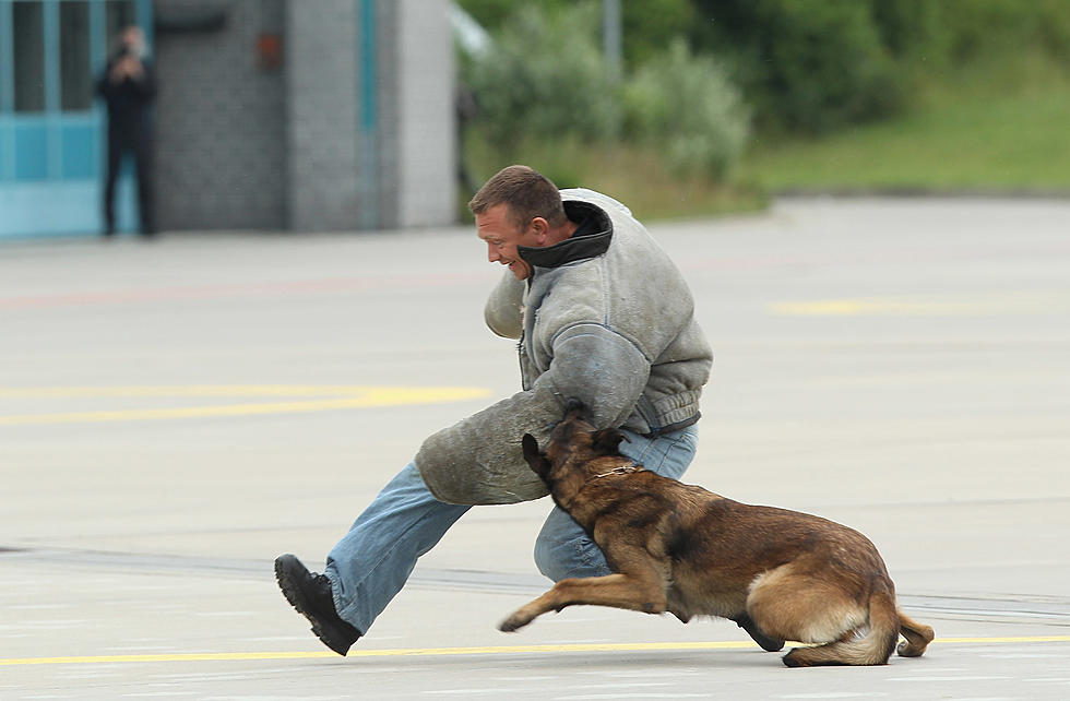 Police Dog Takes Down Missouri Suspect