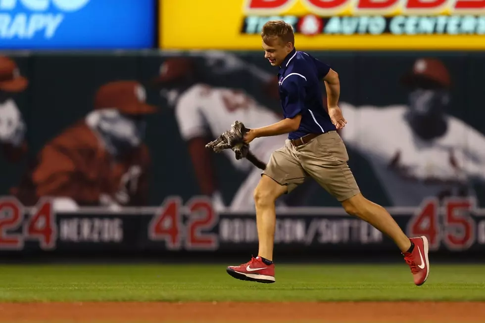 Rally cat: Molina slam after cat runs on field leads Cards