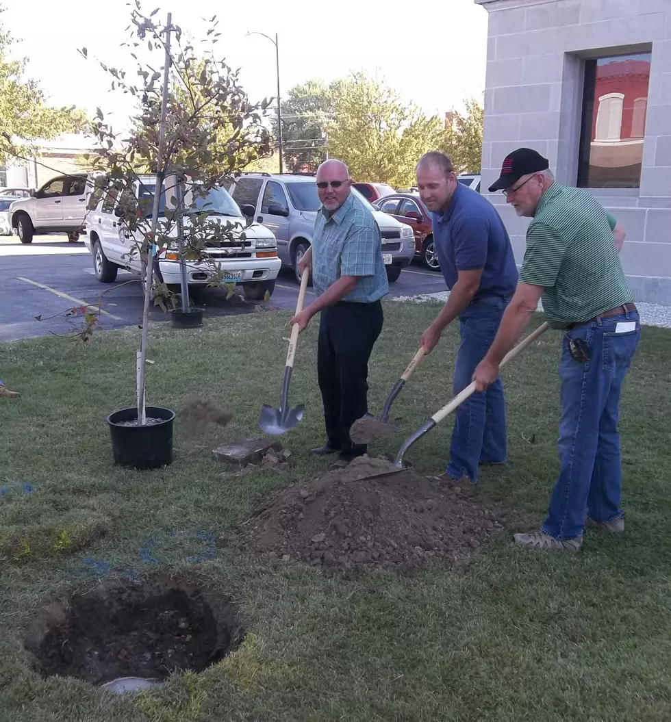 Pike County, MO Bicentennial Tree Planting Monday