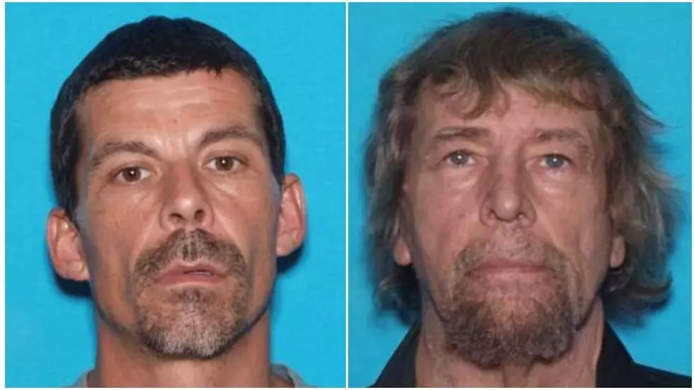 Pittsfield Police Seek Two for Cannabinoid Possession