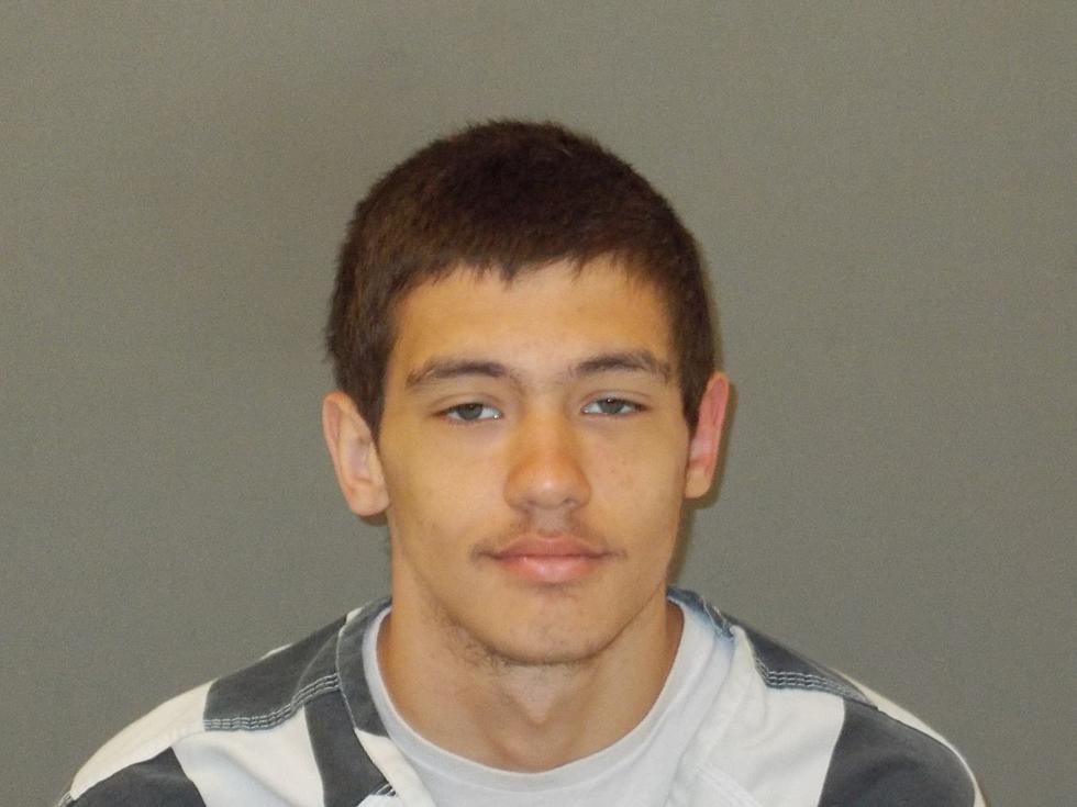 Ft. Madison Man Arrested for Lewis County Vehicle Theft