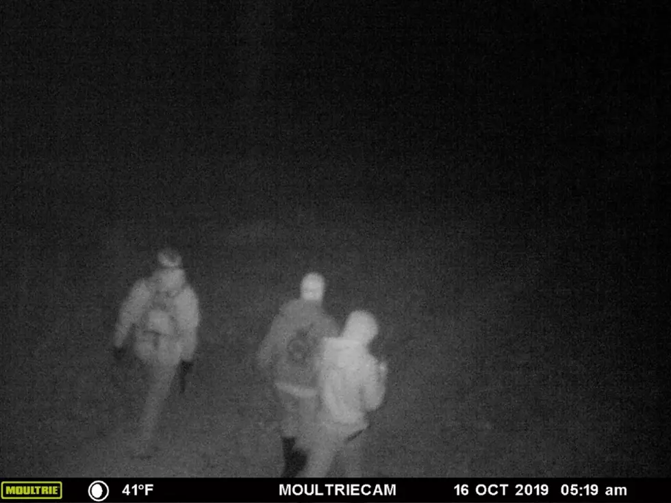 Pike County MO Sheriff Seeks Burglary Suspects