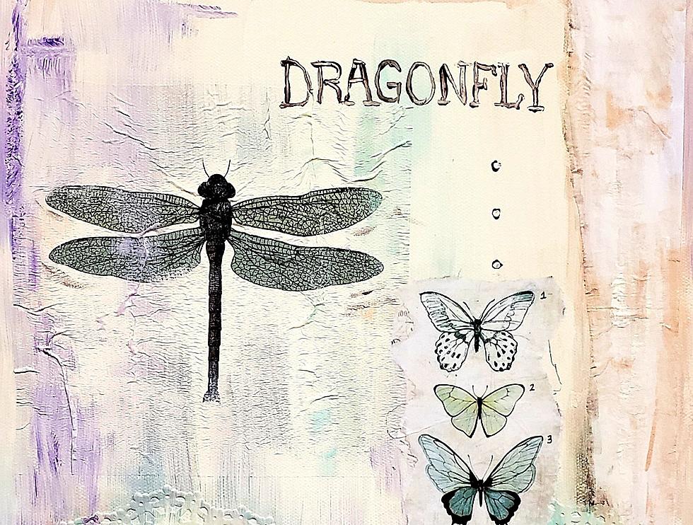 Hannibal Arts Council Arty Party to Feature Dragonfly Decoupage