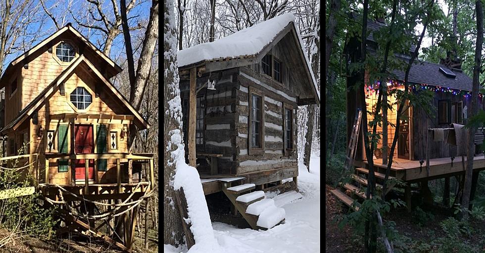 What? I Can Stay in a Treehouse … in Nauvoo?