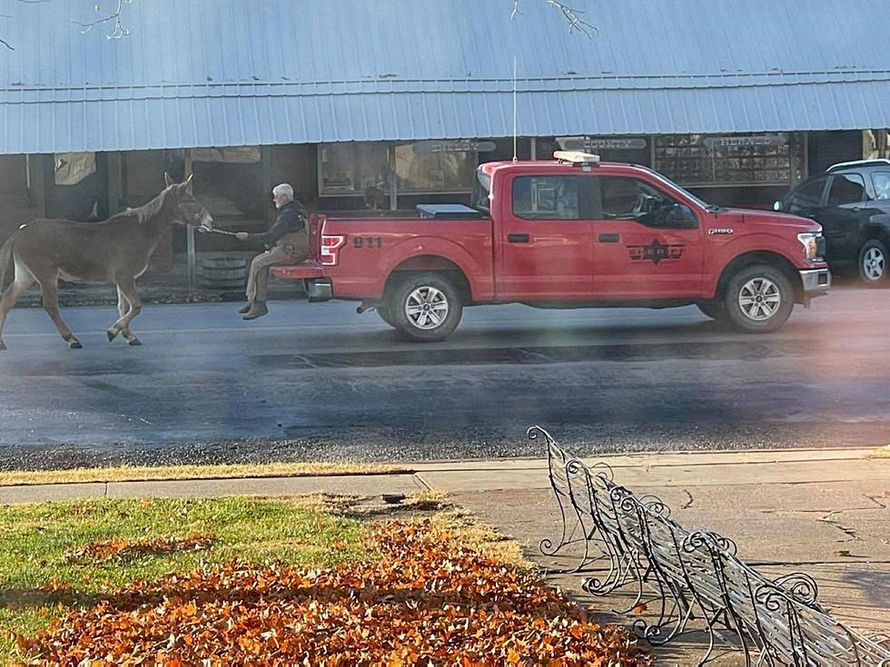 Chase Through Shelbyville Streets Results in Capture of &#8216;Fugitive&#8217;