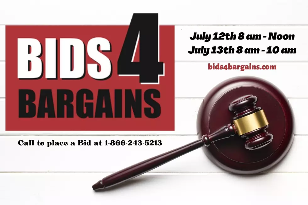 Get Ready For The Summer Edition of Bids For Bargains