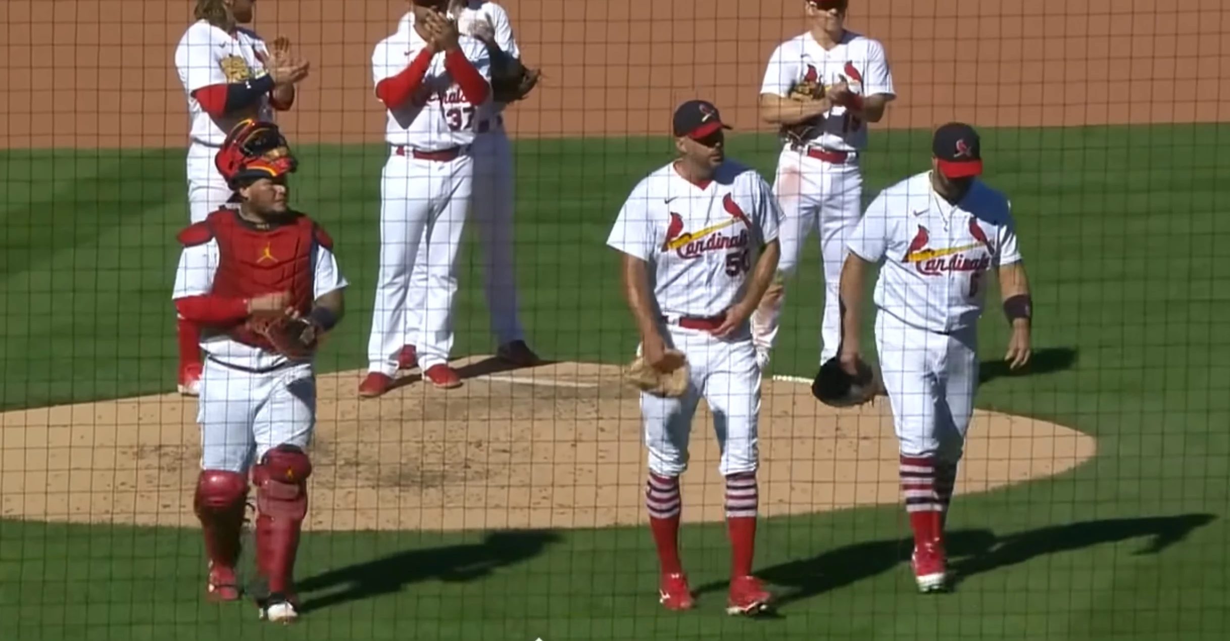 Why the St. Louis Cardinals will win the World Series