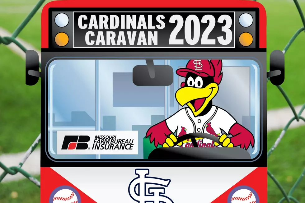 MLB St. Louis Cardinals Golf Driver Head Cover Apex