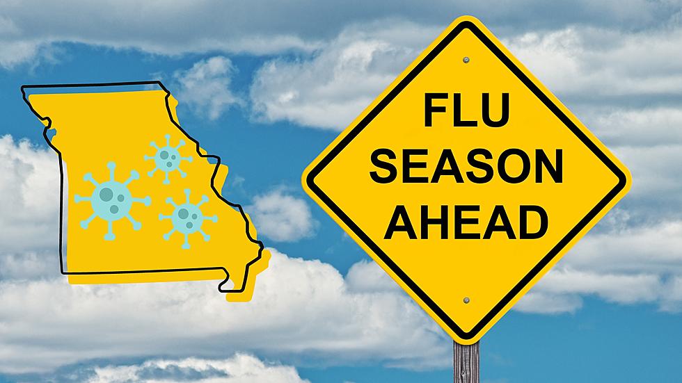 Report: Missouri Getting Hammered by 3 Different Flu Viruses Now