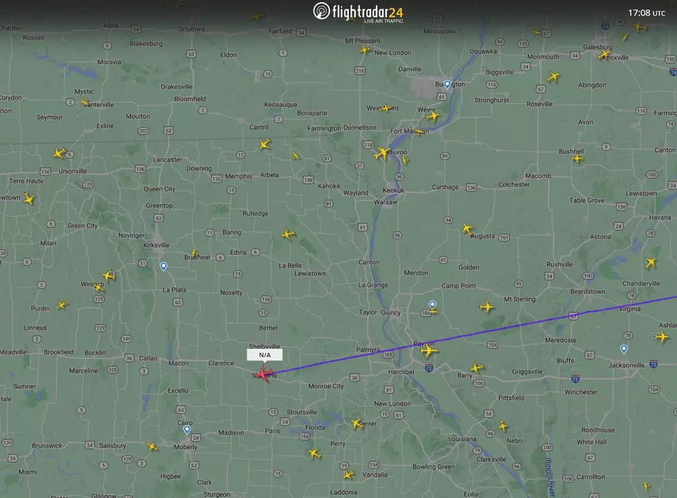 Infographic, Flight Radar 24
