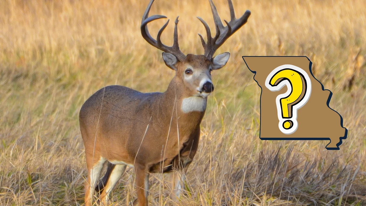 How Many Deer Were Just Harvested in Missouri? It's a New Record