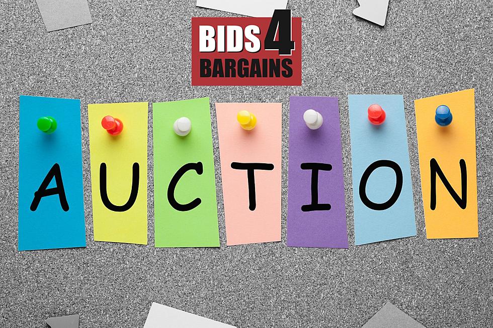 Get Ready to Save with the Spring Bids for Bargains Radio Auction