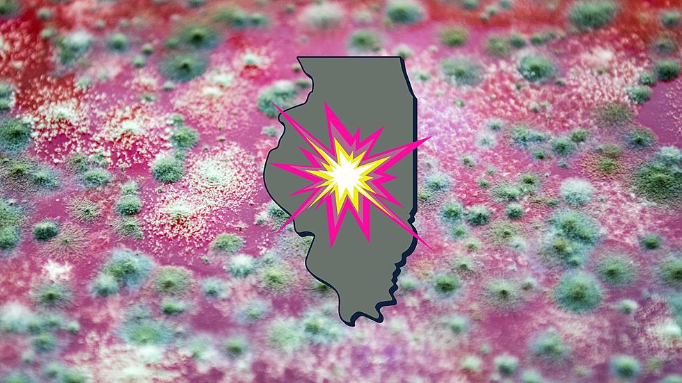 Drug-Resistant Fungus Exploding in Illinois is a ‘Global Threat’