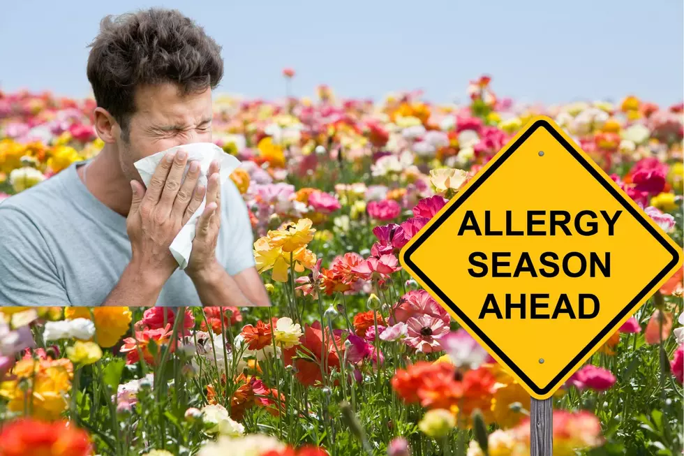 These Missouri Towns Ranked Among the Worst for Allergies in 2024
