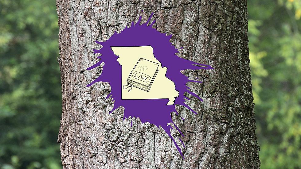 See Purple Paint on a Missouri Tree? Leave Fast &#8211; It&#8217;s the Law