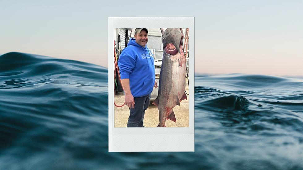 Whopper – 164 Pound World Record Fish Just Caught in Missouri
