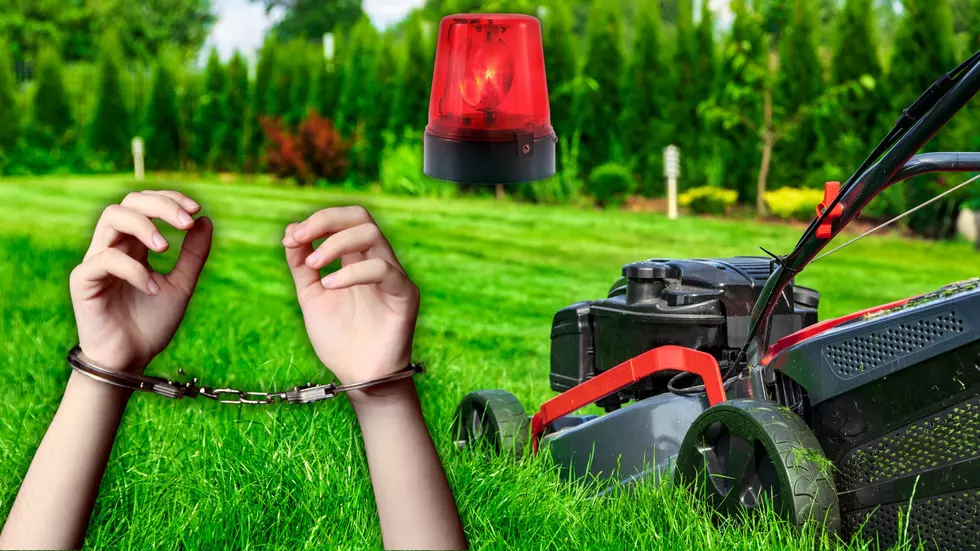 Mow Your Lawn in Illinois Outside of These Hours & You’re Busted