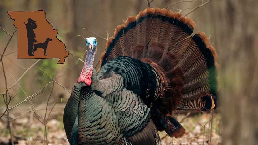 2 Big Changes to Missouri’s Spring Turkey Hunting Season