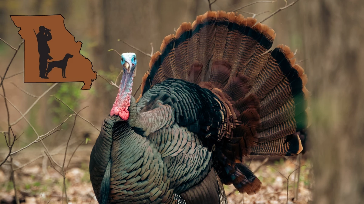 2 Big Changes to Missouri's Spring Turkey Hunting Season