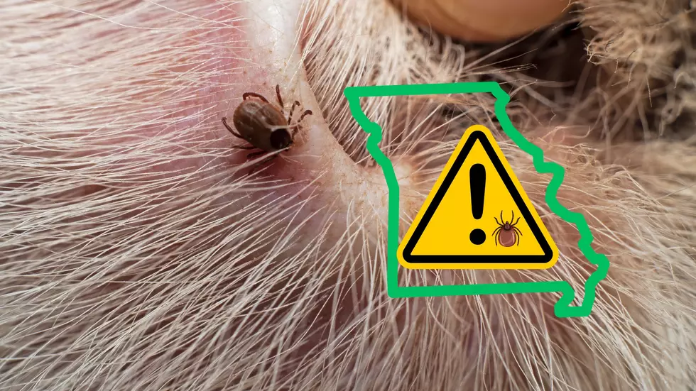 Missouri is one of the WORST states for a Tick-Borne Illness