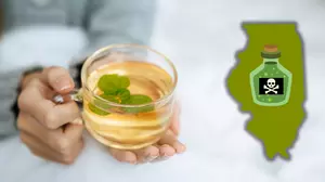 Herbal Tea in Illinois Under Urgent Recall Because It’s Pesticide