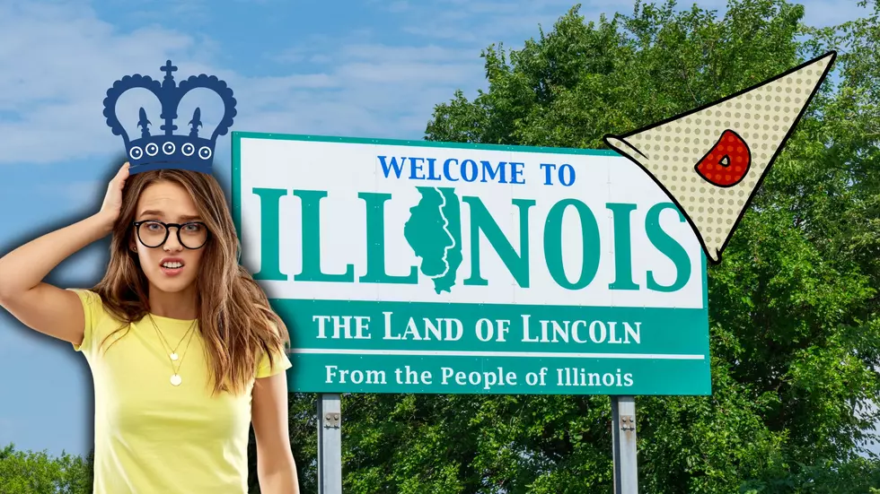 Illinois Named Most Dysfunctional State in America by the British