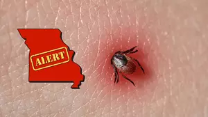 Missouri Suddenly Warning about a Life-Threatening Tick Bite