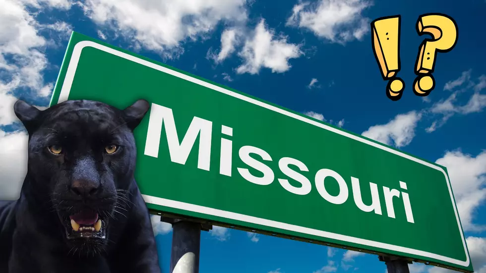 Witness Claims They Just Saw Another Black Panther in Missouri