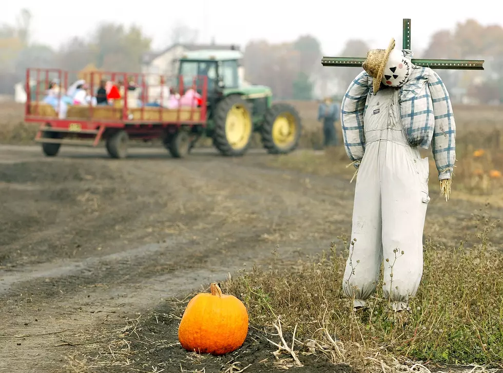 Noonday Optimist Haunted Hayride Coming to the Missouri State Fairgrounds