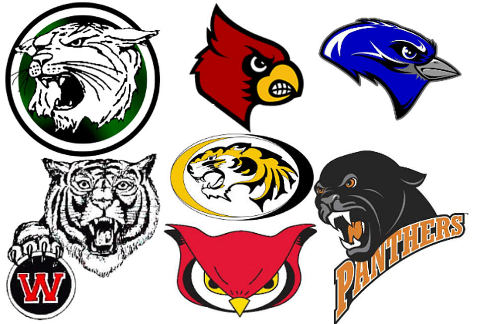 The Best High School Mascots