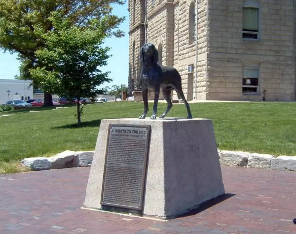 Old Drum to be the Official &#8216;Historical Dog of Missouri&#8217;