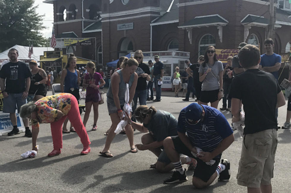 We’re Having a Blast at the Missouri State Fair!