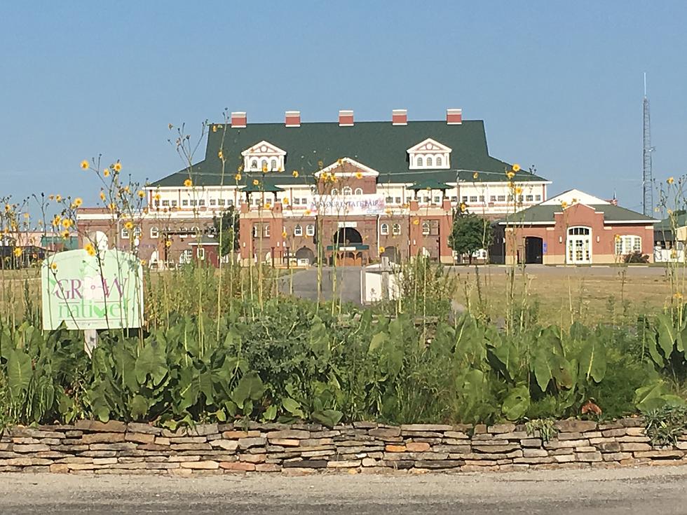 Everything You Need to Know About the 2018 Missouri State Fair