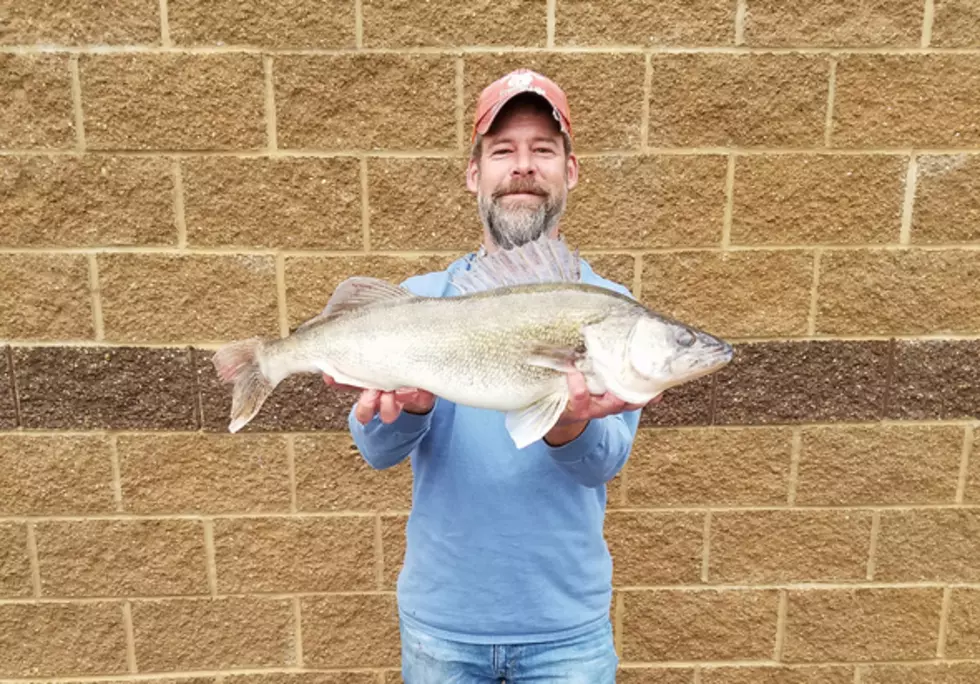 Warsaw Man Catches State-Record Walleye on a Jug Line