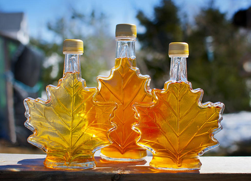 An Opportunity to Tap Your Own Maple Syrup